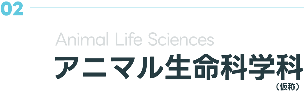 02 アニマル生命科学科(仮称)